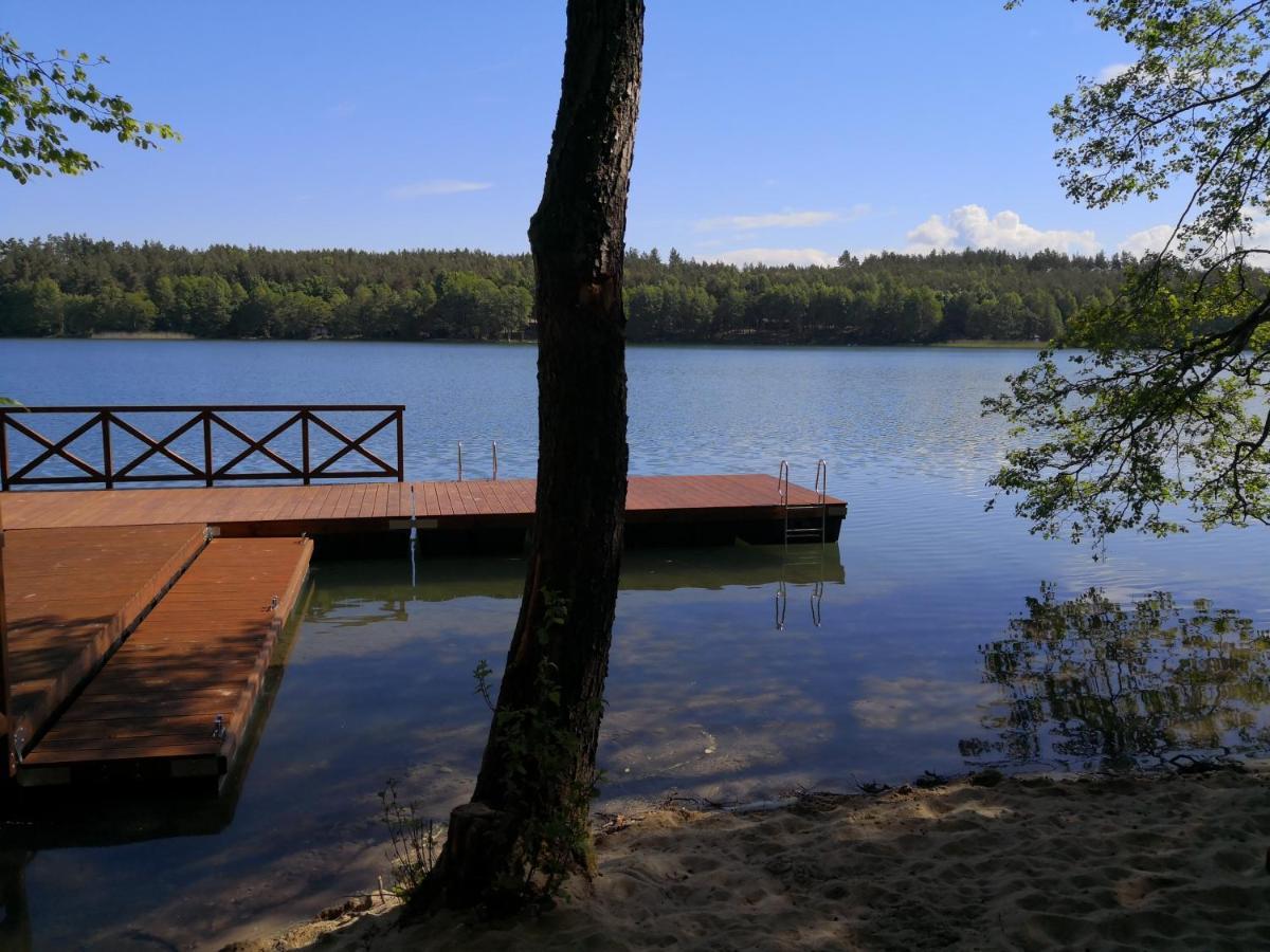 Villa Lesna Ostoja Borowy Mlyn Exterior foto
